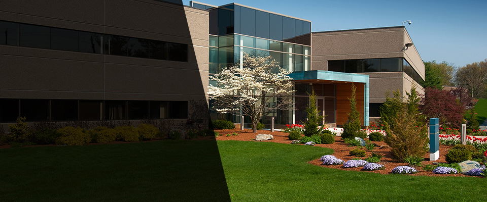 Moores Hill Landscapers