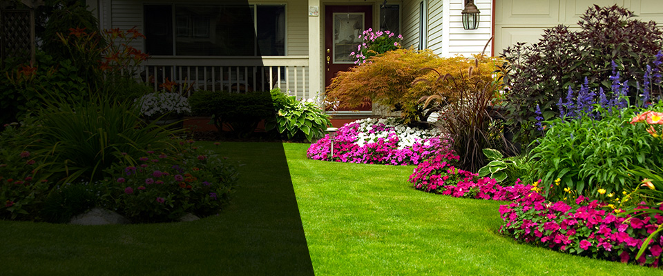 Moores Hill Landscapers