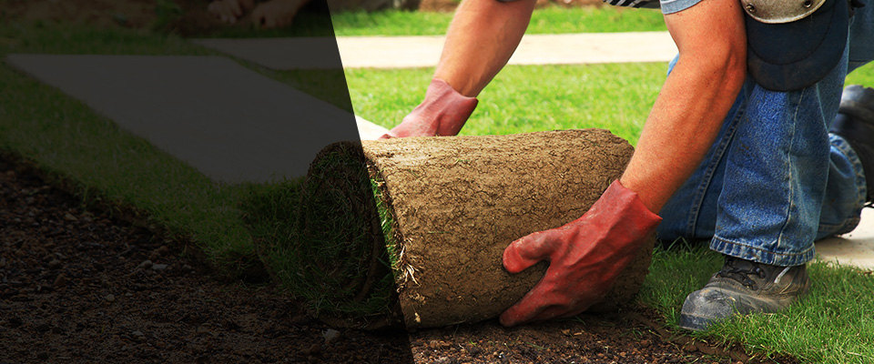 Moores Hill Landscapers